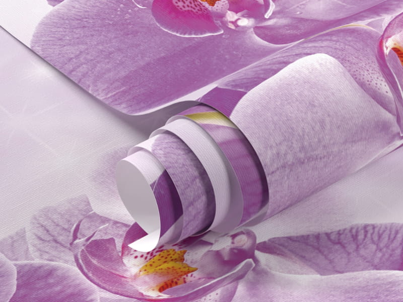 Фотообои Розовая орхидея фрагмент #1