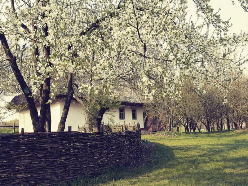 Фотошпалери Затишний будиночок у селі