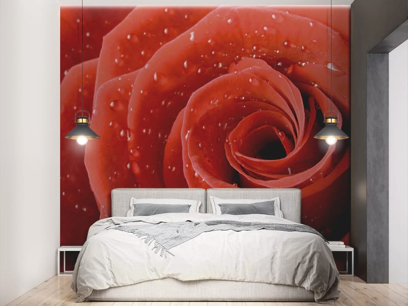 Фотошпалери Краплі води на троянді в інтер'єрі спальні