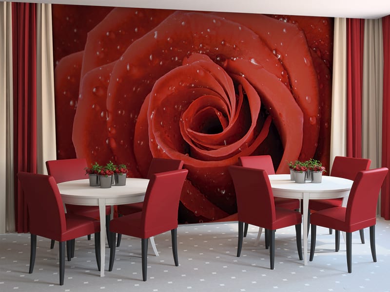 Фотошпалери Краплі води на троянді в інтер'єрі ресторану