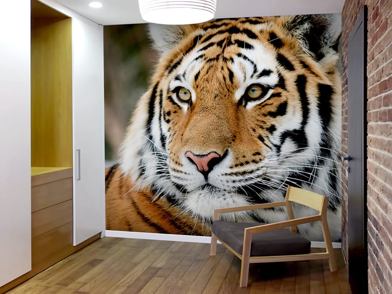 Фотошпалери Сибірський тигр в інтер'єрі хола