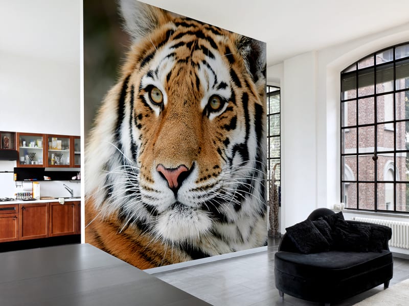 Фотообои Сибирский тигр в интерьере гостиной