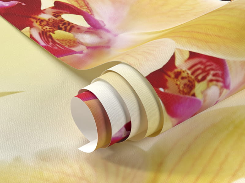 Фотообои Желтые орхидеи фрагмент #1