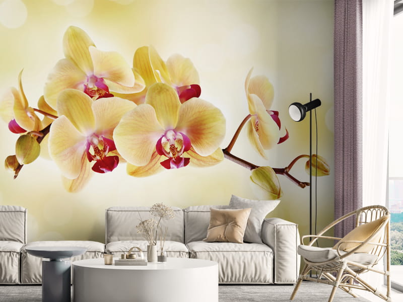 Фотообои Желтые орхидеи в интерьере гостиной