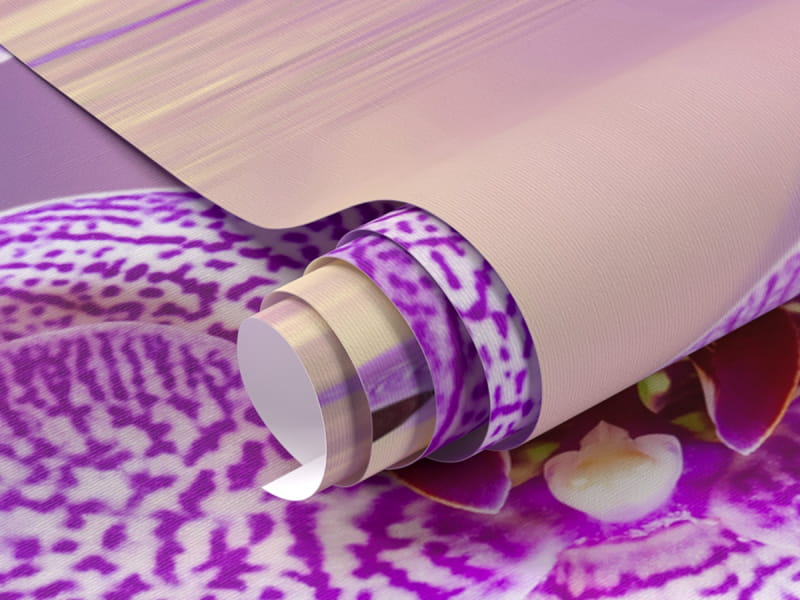 Фотошпалери Світло-рожева орхідея фрагмент # 1