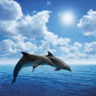 Превью фотоошпалер Море дельфіни