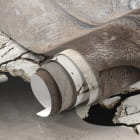 Миниатюра фотообоев Носорог из стены фрагмент #1