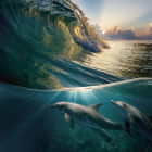 Превью фотообоев Волна и дельфины
