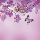 Превью фотообоев Орхидеи и бабочки