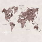 Превью фотообоев Навигационная карта мира