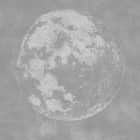 Превью фотообоев Рельефная луна
