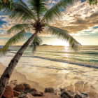 Превью фотообоев Закат над тропическим пляжем