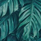 Превью фотоошпалер Пальмове листя у джунглях
