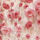Превью фотообоев Стена из пудровых роз