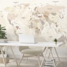 Миниатюра фотообоев Светлая карта мира, РУС в интерьере офиса