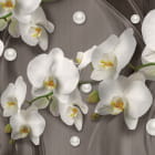 Превью фотоошпалер Білі орхідеї 3Д