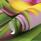 Миниатюра фотообоев Яркие тюльпаны фрагмент #1