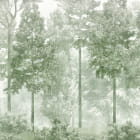 Превью фотоошпалер Віденський зелений ліс