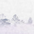 Превью фотообоев Туманный рассвет в лесу