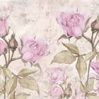 Превью фотообоев Светлые розовые розы