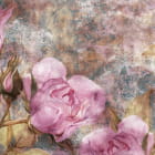 Превью фотообоев Розовые розы, акварель