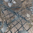 Мініатюра фотошпалер Красиві рослини, малюнок