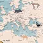 Миниатюра фотообоев Красивая карта с животными фрагмент #1