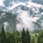 Миниатюра фотообоев Облака над зеленым лесом