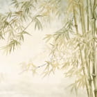 Миниатюра фотообоев Солнечный бамбуковый лес