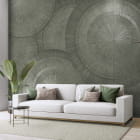 Мініатюра фотошпалер Зелені кола 3Д в інтер'єрі вітальні