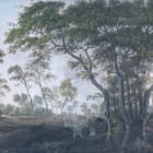 Миниатюра фотообоев Живописный парк