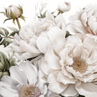 Миниатюра фотообоев Распустившиеся пионы