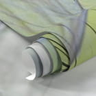 Миниатюра фотообоев Большие пушинки одуванчика фрагмент #1