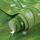 Мініатюра фотошпалер Роса на траві фрагмент # 1