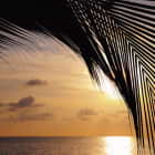 Превью фотообоев Тропический пляж на закате
