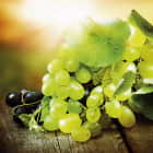 Превью фотообоев Гроздь винограда