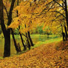 Превью фотообоев Осенний пейзаж