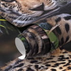 Миниатюра фотообоев Ягуар фрагмент #1