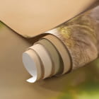 Миниатюра фотообоев Колибри фрагмент #1