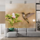 Миниатюра фотообоев Колибри в интерьере гостиной