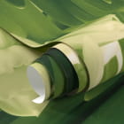 Миниатюра фотообоев Нарциссы фрагмент #1