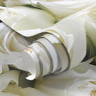 Миниатюра фотообоев Букет белых роз фрагмент #1