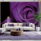 Мініатюра фотошпалер Пурпурова троянда в інтер'єрі вітальні