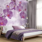 Миниатюра фотообоев Розовая орхидея в интерьере спальни