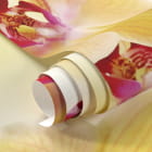 Миниатюра фотообоев Желтые орхидеи фрагмент #1