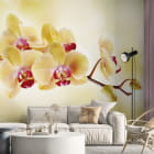 Миниатюра фотообоев Желтые орхидеи в интерьере гостиной